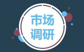 房地產市場調研 概念與方法探究